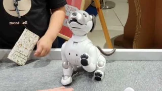 AIBO is a series of robotic dogs designed and manufactured by Sony. from  Japan. Price $2300