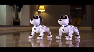 New Smart stunt Dog