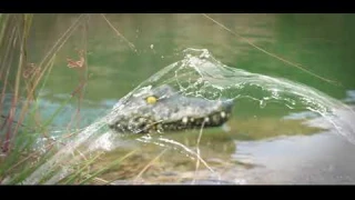 JJRC Crocodile Head RC Boat 2.4G Remote Control Summer Water Toys Electric Toys