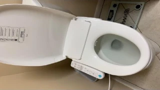 Inus N32 Korean Electric Bidet Toilet Seat, Heated Seat, Night Light, Air Dryer Review