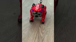 Robot Dog Toy for Kids, Remote Control Robot Toy, Stunt Robo Dog, Dance and Touch Function
