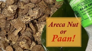 Paan / Areca Nut / Betel Nut - An American’s Perspective and Review!