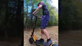 Unleash Your Inner Cheetah with Ausom Leopard Electric Scooter!