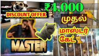 ₹4000 முதல் செல்ல பிராணிகள்‌ வாங்கலாம் மாஸ்டர் கேட் 🐈(wholesale price) low cost dog & cat //pet shop