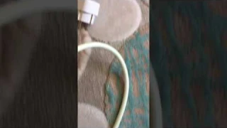 DIY Ev Güvenliği için SONOFF TEMEL WiFi Kablosuz Akıllı Anahtarı