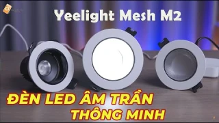 Đèn LED âm trần thông minh Yeelight Mesh Downlight, Spotlight M2 YLTS02YL, YLTS03YL, YLTS04YL