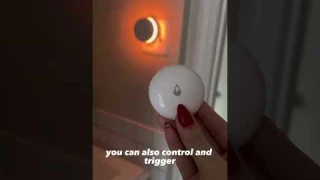 What does the Aqara Water Leak Sensor do?
