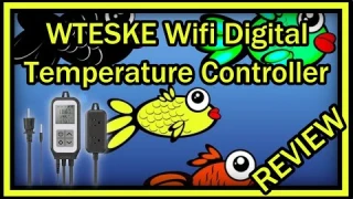 WTESKE SOP20 Wifi Digital Temperature Controller Thermostat Heating and Cooling 10A 1250W REVIEW