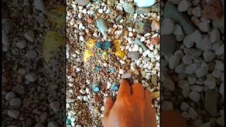 find a robot toy #shorts #robot #viral