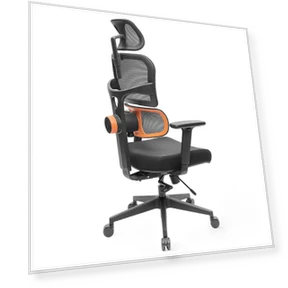Ergonomic Chair with Adaptive Lower Back Support — Back & Seat Cushions, NEWTRAL