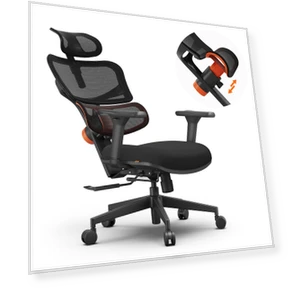 Ergonomic Chair with Adaptive Lower Back Support — Back & Seat Cushions, NEWTRAL