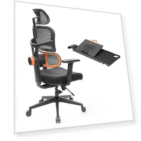 Ergonomic Chair with Detachable Workstation Desktop — Lumbar Supports, NEWTRAL