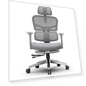 Ergonomic Chair with Adaptive Lower Back Support — Back & Seat Cushions, NEWTRAL