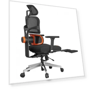Ergonomic Chair with Lumbar Support, Adjustable Armrest, Headrest, Footrest, 4D Mesh — Back & Seat Cushions, NEWTRAL