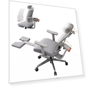 Ergonomic Chair with Footrest, Auto-Following Backrest Headrest, Adaptive Lower Back Support - Gray — Back & Seat Cushions, NEWTRAL