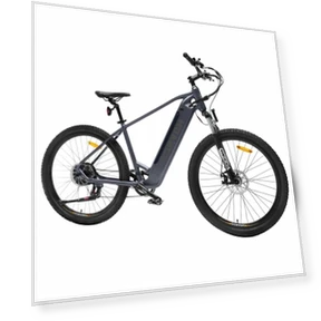 Electric Bike — Electric Self-Balancing Scooters, HAVSCO