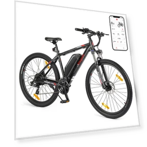 Electric Moped Bike — Electric Self-Balancing Scooters, Eleglide