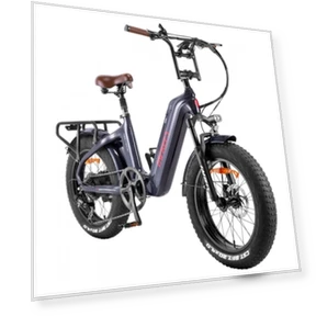 Electric Bike — Electric Self-Balancing Scooters, Fafrees
