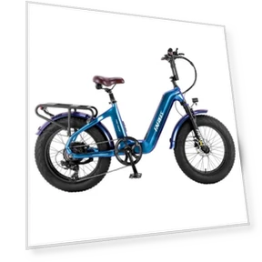 Electric Bike — Electric Self-Balancing Scooters, Fafrees