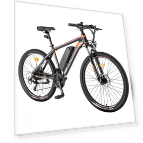 Electric Bike — Electric Self-Balancing Scooters, Fafrees