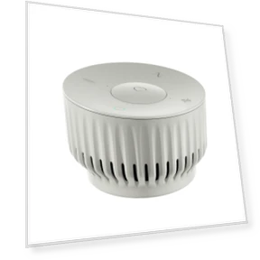 Smart Speaker — Speaker Mounts, Sber