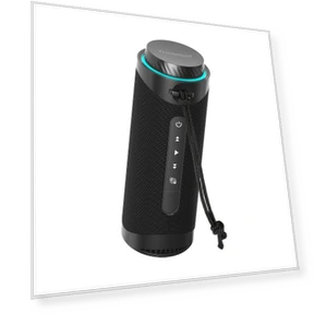 Portable Bluetooth Speaker with LED Lights — Portable Audio Solutions, Tronsmart
