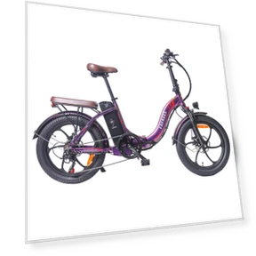 Electric Bike — E-Bikes, Fafrees