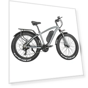 Electric Bike — Electric Self-Balancing Scooters, CMACEWHEEL