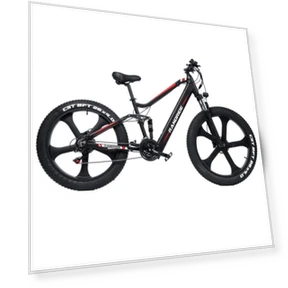 Electric Bike, 26'' Fat Tire, 1000W Brushless Motor, 48V13.6Ah Battery, 45km/h Max Speed — Electric Self-Balancing Scooters, RANDRIDE
