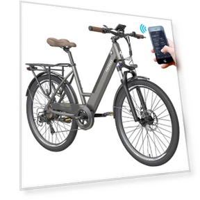 Step-through City E-Bike — Electric Self-Balancing Scooters, Fafrees