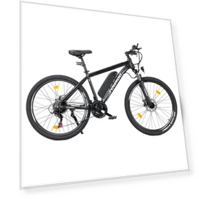 MTB Electric Bike — Electric Self-Balancing Scooters, Touroll