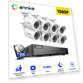 3K Lite Wired Surveillance DVR with AI Detection, 8CH System, 1TB HDD, 8x1080p Cameras — Complete Surveillance Systems, Annke