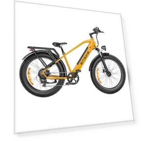 Mountain Electric Bike — E-Bikes, ENGWE