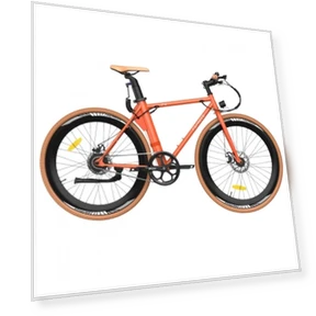 City Electric Bike — Electric Self-Balancing Scooters, Fafrees