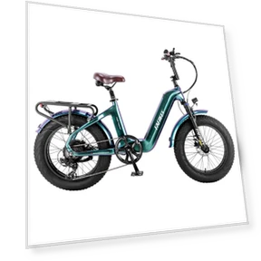 Master E-bike — E-Bikes, Fafrees