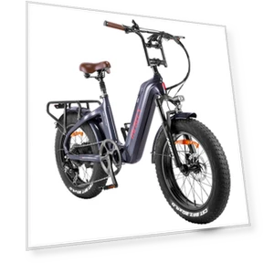 Master E-bike — Electric Self-Balancing Scooters, Fafrees
