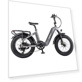 E-bike with 20*4.0 Tire and 500W Motor — E-Bikes, Fafrees