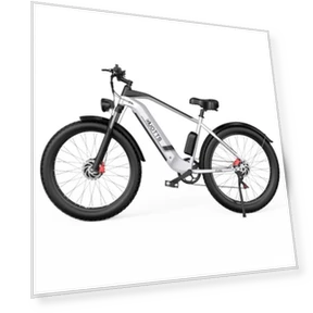 Fat Tire Electric Bike — Electric Self-Balancing Scooters, DUOTTS