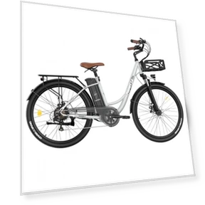 Lasting Electric Bike — E-Bikes, Fafrees