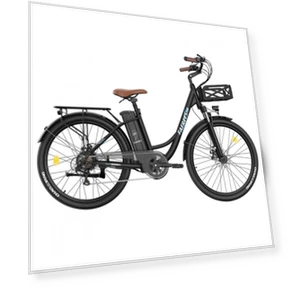 Lasting Electric Bike — Electric Self-Balancing Scooters, Fafrees