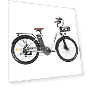 Lasting Electric Bike — E-Bikes, Fafrees