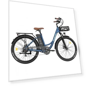 Lasting Electric Bike — Electric Self-Balancing Scooters, Fafrees