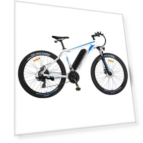 Mountain Electric Bike — E-Bikes, Fafrees