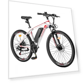Electric Bike — Electric Self-Balancing Scooters, Fafrees