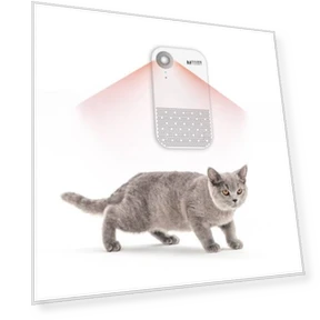 Pet Deodorizer Air Purifier — Odor Removers