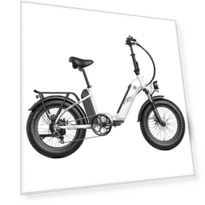 Polar E-Bike — Electric Self-Balancing Scooters, Fafrees