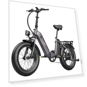 Polar Electric Bike — Electric Self-Balancing Scooters, Fafrees