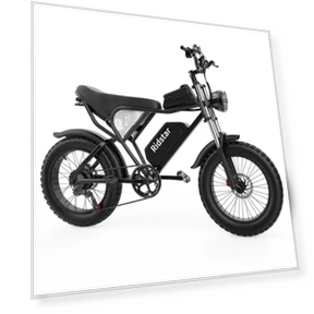 Electric Bike — Electric Self-Balancing Scooters, Ridstar