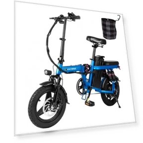 Mini Foldable City E-bike — Electric Self-Balancing Scooters, honeywhale