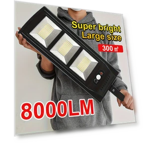 Solar Wall Light with Motion Sensor and Remote Control — Outdoor Wall Lighting